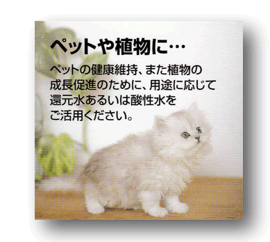 アルカリイオン水、還元水生成器で生成した水はペットの健康維持、また植物の生長促進のために、還元水または酸性水をご活用下さい。