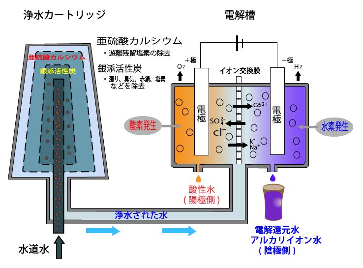 連続式電解水生成器のアルカリイオン水（還元水）が生成されるしくみは水道水の濁り、臭気、赤錆、塩素　などを浄水カートリッジの銀添活性炭で取り除き、亜硫酸カルシウムが遊離残留塩素の除去して美味しいお水に濾過します。その後電解槽で電気分解したマイナス極に生成された還元水が湧水のような口あたりにします。